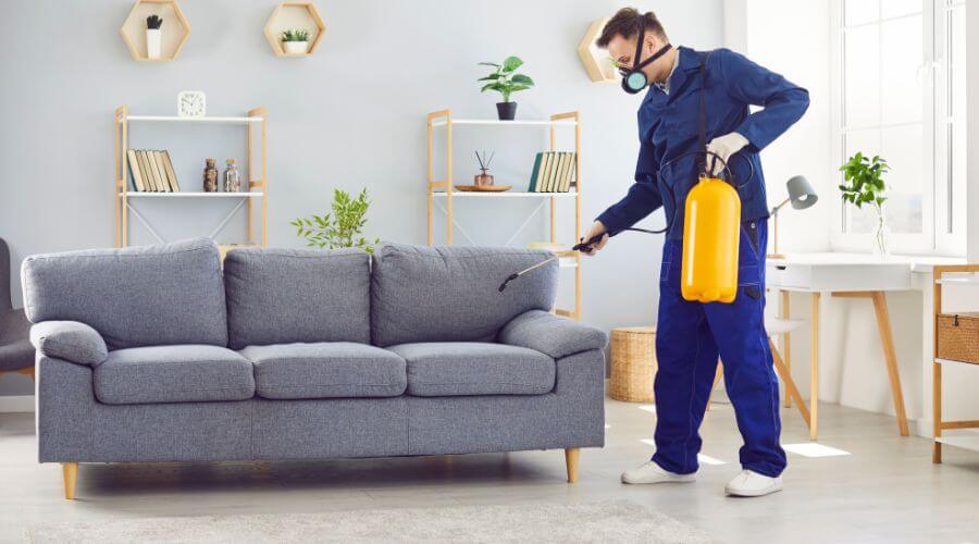 Professional pest control services services in New York